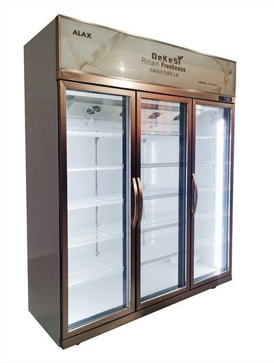 Lielveikalu stikla durvju dzesētājs