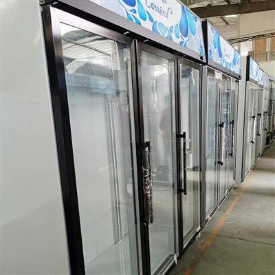 Daudzdurvju dzērienu ledusskapis